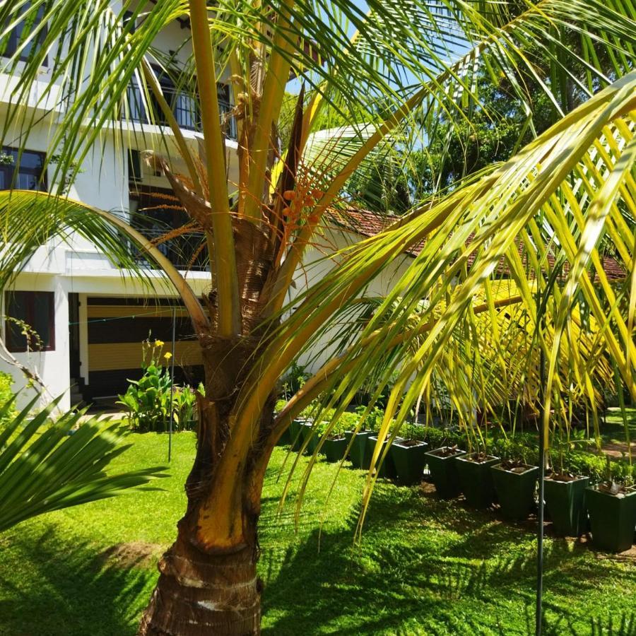 Edelweiss Residence Hikkaduwa Kültér fotó